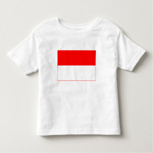 Indonesische vlag kinder shirts