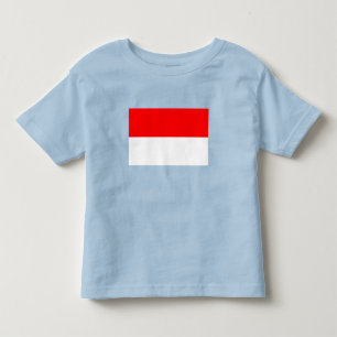 Indonesische vlag kinder shirts