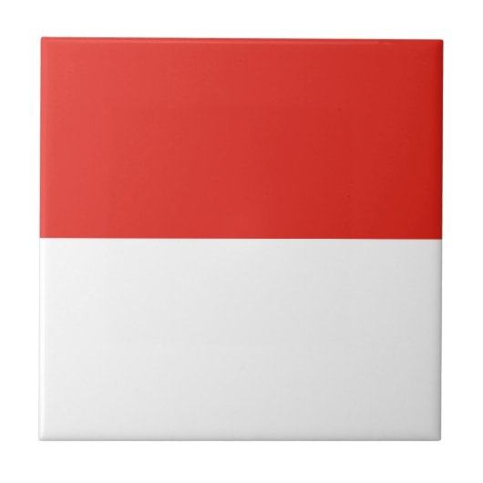 Indonesische vlag tegeltje (Voorkant)