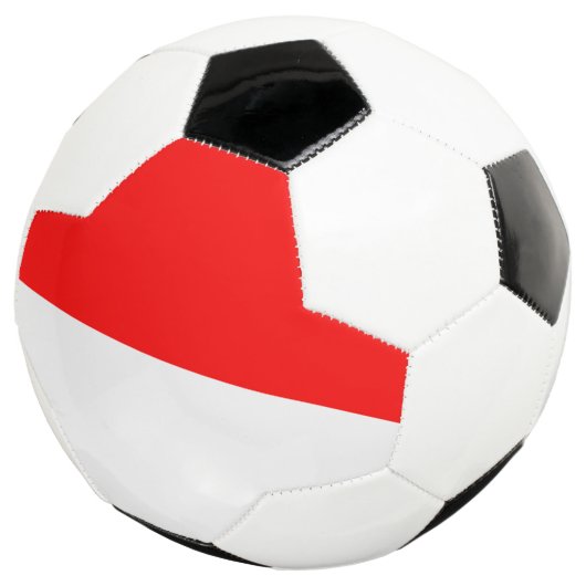 Indonesische vlag voetbal (Drie kwart)