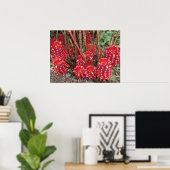 Indonesische wasvinger poster (Thuiskantoor)