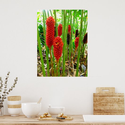 Indonesische wasvinger poster (Keuken)