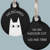 Indoor Cat Escaped White Cat