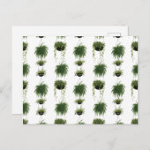 Indoor Oasis | Hangende manden Briefkaart (Voorkant / Achterkant)