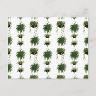 Indoor Oasis   Hangende manden Briefkaart