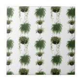 Indoor Oasis | Hangende manden Tegeltje (Voorkant)