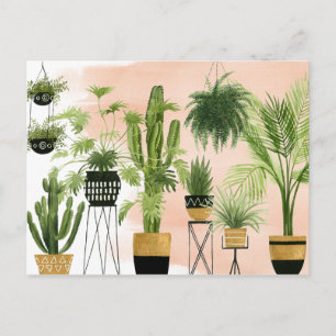 Indoor Oasis Plant Lineup Briefkaart