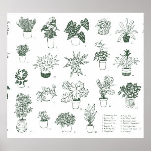 Indoor planten:  handgetekende set. poster
