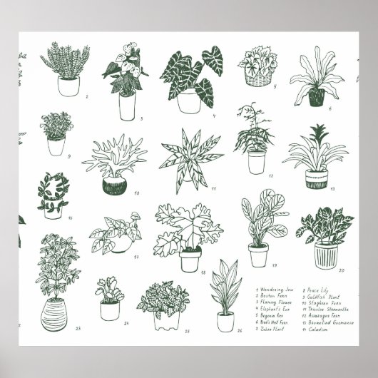 Indoor planten:  handgetekende set. poster (Voorkant)