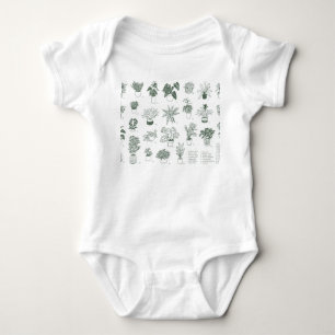 Indoor planten:  handgetekende set. romper