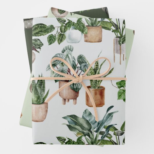 Indoor Plants Wrapping Paper (In situ)