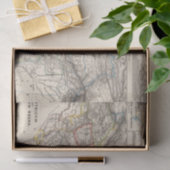 Indoscythicum atque Parthicum Regna Tissuepapier (Geschenk)