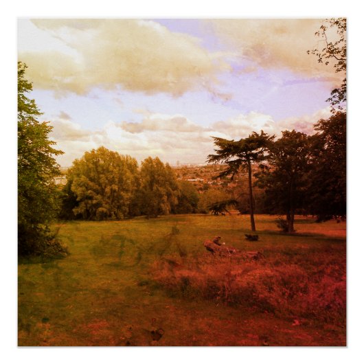 INDRUKKEN VAN KUNST EN NATUUR PERFECT POSTER (Voorkant)