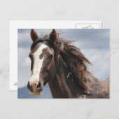 indrukwekkend briefkaart (Voorkant / Achterkant)