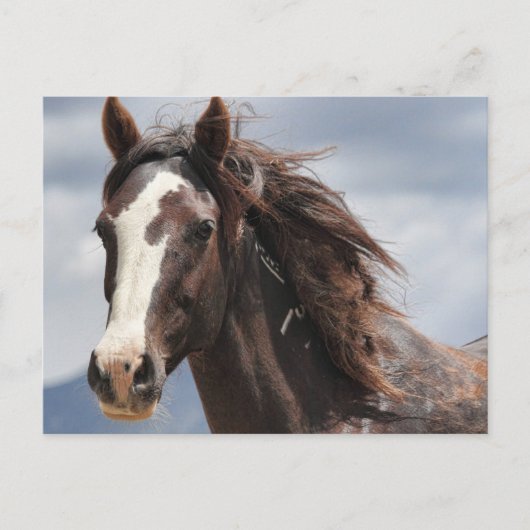 indrukwekkend briefkaart (Voorkant)