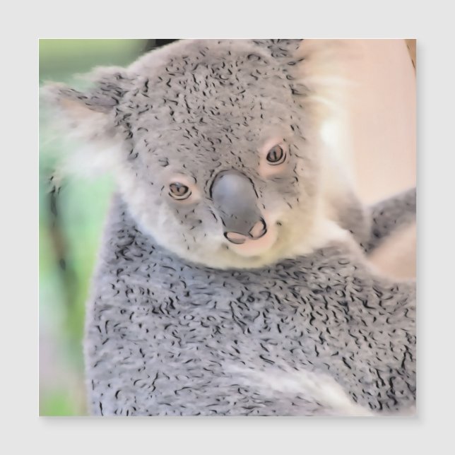 Indrukwekkend dier - Koala (Voorkant)