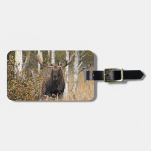 Indrukwekkende Bull Moose Bagagelabel