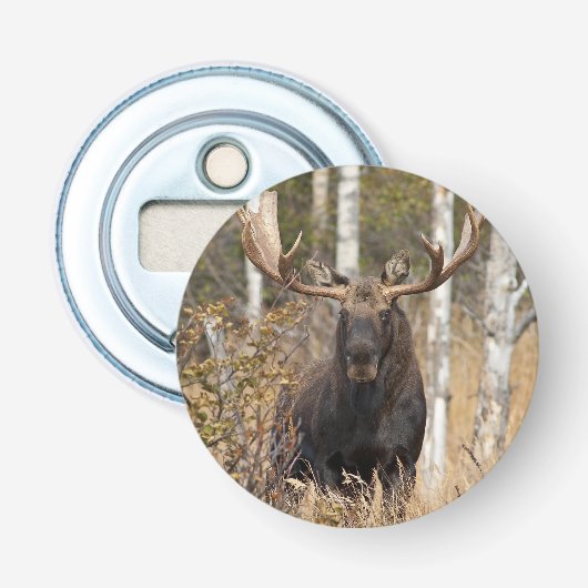Indrukwekkende Bull Moose Button Flesopener (Voorkant)