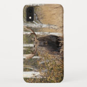 Indrukwekkende Bull Moose Case-Mate iPhone Case (Achterkant)
