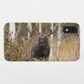 Indrukwekkende Bull Moose Case-Mate iPhone Case (Achterkant (horizontaal))