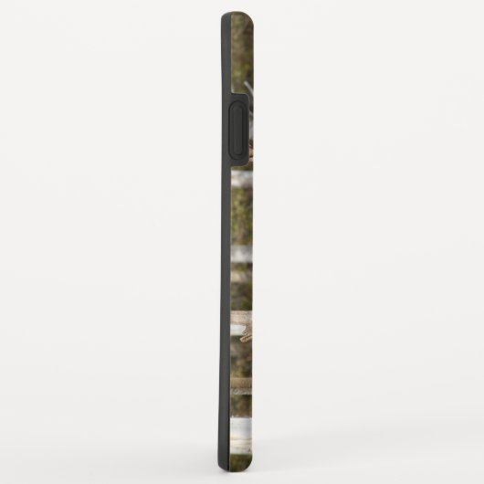 Indrukwekkende Bull Moose Case-Mate iPhone Case (Achterkant/rechts)