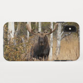 Indrukwekkende Bull Moose Case-Mate iPhone Case (Achterkant (horizontaal))