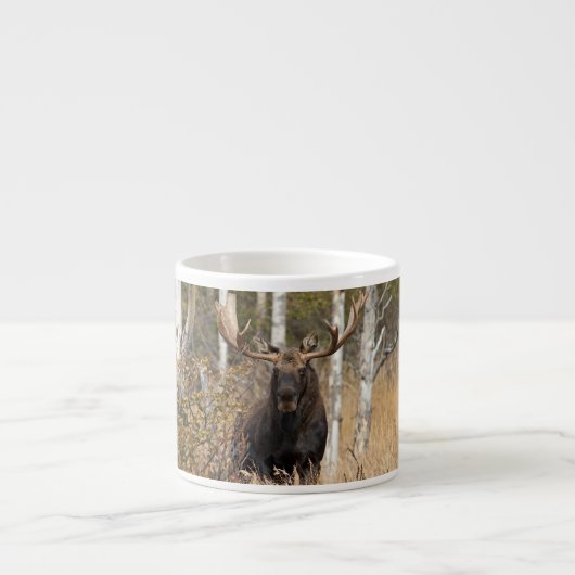Indrukwekkende Bull Moose Espresso Kop (Voorkant)