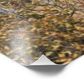 Indrukwekkende Bull Moose Foto Afdruk (Hoek)