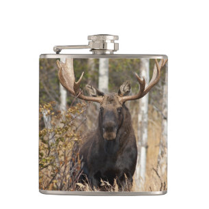 Indrukwekkende Bull Moose Heupfles