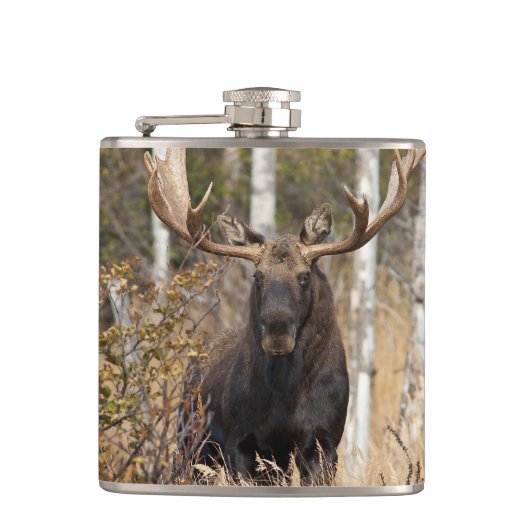 Indrukwekkende Bull Moose Heupfles (Voorkant)