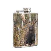 Indrukwekkende Bull Moose Heupfles (Rechts)