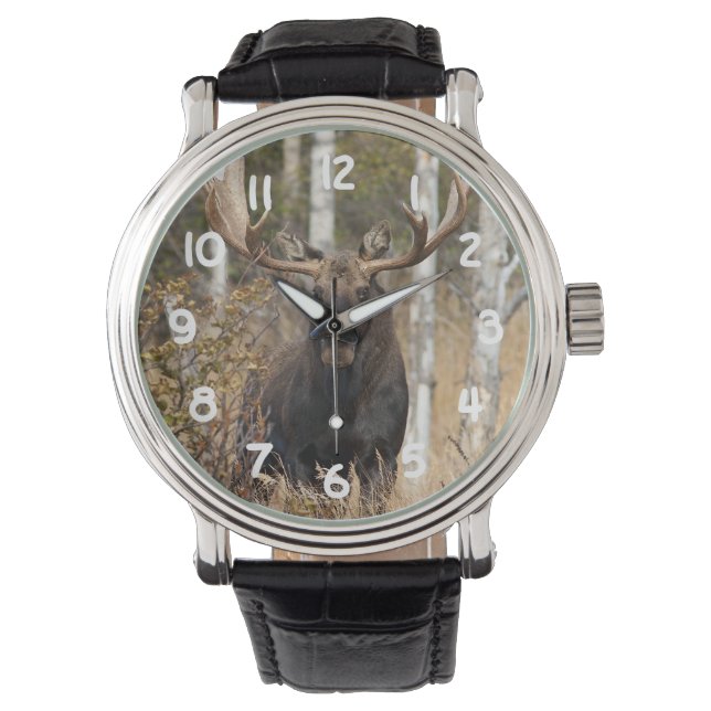 Indrukwekkende Bull Moose Horloge (Voorkant)
