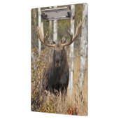 Indrukwekkende Bull Moose Klembord (Links)