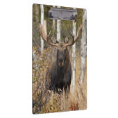 Indrukwekkende Bull Moose Klembord (Rechts)