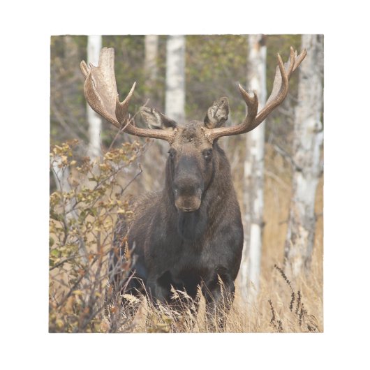 Indrukwekkende Bull Moose Notitieblok (Voorkant)