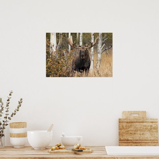 Indrukwekkende Bull Moose Poster (Keuken)