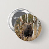 Indrukwekkende Bull Moose Ronde Button 5,7 Cm (Voorkant /achterkant)