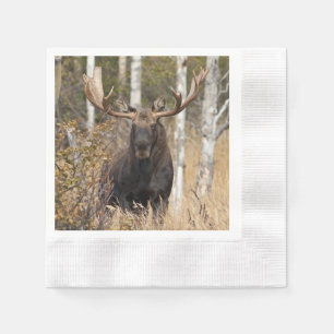 Indrukwekkende Bull Moose Servet