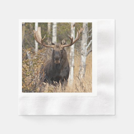 Indrukwekkende Bull Moose Servet (Voorkant)