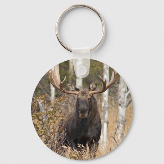 Indrukwekkende Bull Moose Sleutelhanger (Voorkant)