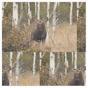Indrukwekkende Bull Moose Stof