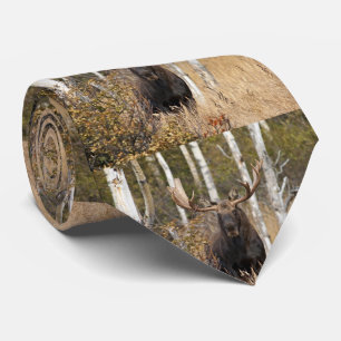 Indrukwekkende Bull Moose Stropdas