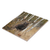 Indrukwekkende Bull Moose Tegeltje (Zijkant)