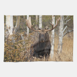 Indrukwekkende Bull Moose Theedoek