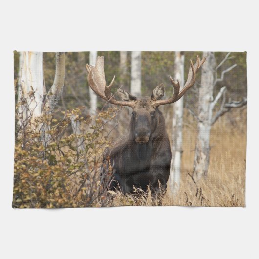 Indrukwekkende Bull Moose Theedoek (Horizontaal)