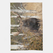 Indrukwekkende Bull Moose Theedoek (Verticaal)