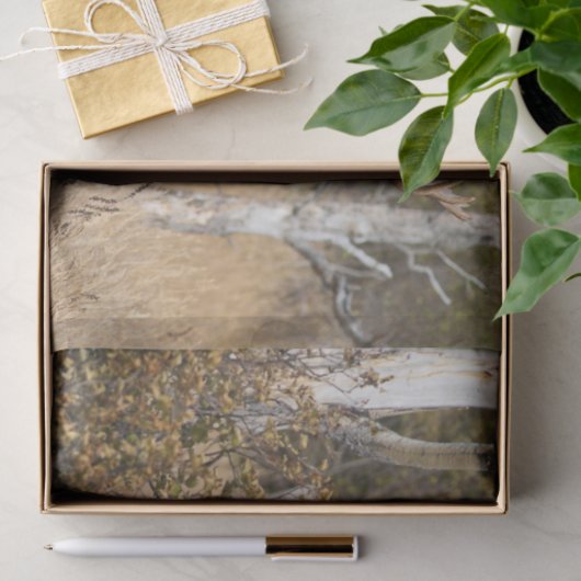 Indrukwekkende Bull Moose Tissuepapier (Geschenk)