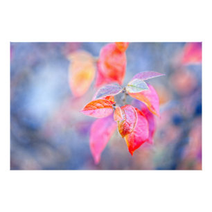 Indrukwekkende Cotonou Leaves Foto Afdruk