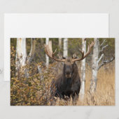 Indrukwekkende Eland Briefpapier (Voorkant / Achterkant)
