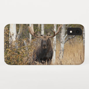 Indrukwekkende Eland Case-Mate iPhone Case
